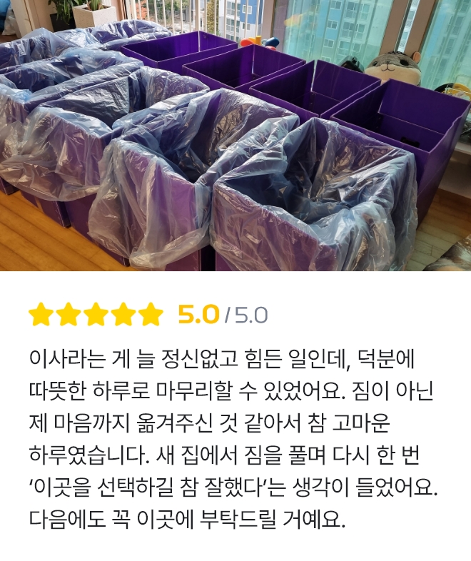 꼼꼼개미이사 리뷰